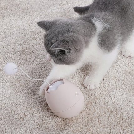 Funny cat artifact cat toys