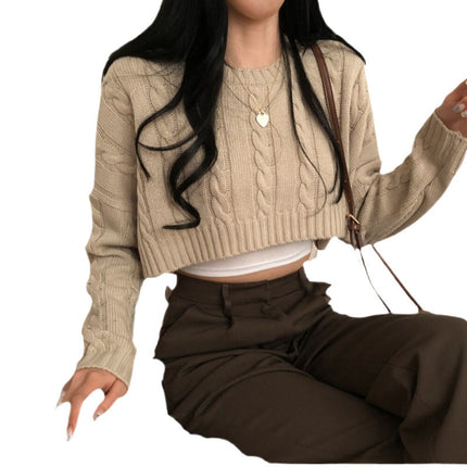 Small Cropped Long Sleeve Crew Neck Pullover Sweater