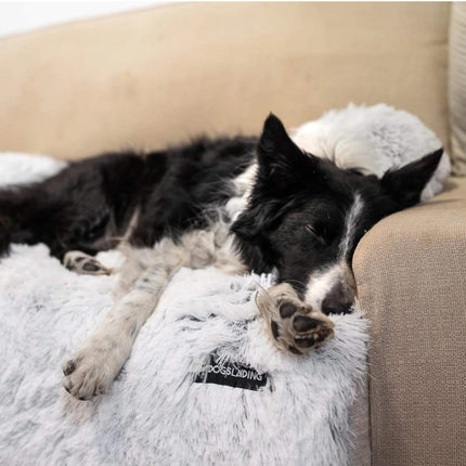 Pet Blanket Rest Cushion Sofa