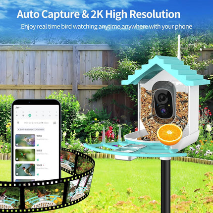 Bird Feeder With Camera, AI Identify Birds Species, Smart Birds Camera With Solar Powered, Auto Record 2K Birds Video In Backyard, Instant Notifications, Ideal Gifts For Family And Bird Lovers