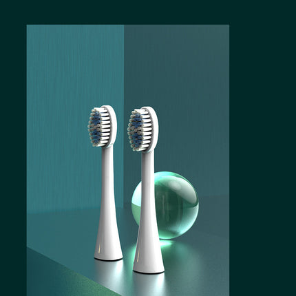 Ultrasonic Sonic Electric Toothbrush USB Rechargeable Tooth Brush