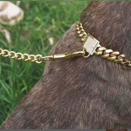 Pet dog collar stainless steel titanium steel gold encryption chain buckle dog chain