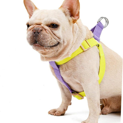 Dog Harness And Leash No Pull Nylon Pet Leashes For Small Dogs French Bulldog Chihuahua Lead Leash And Collar Set For Yorkies