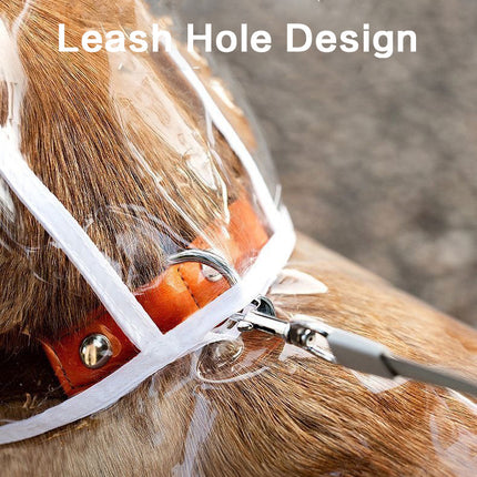 Pet Raincoat Transparent Dog