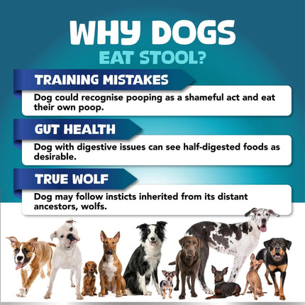 No Poo Chews For Dogs Stop Poop Eating Behavior Probiotics And Digestive Enzymes For Dogs Bad Breath Support For All Breeds Digestive And Gut Health Supplement 180 Soft Chews