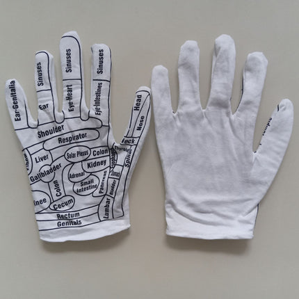 Cotton Human Meridian Acupoint Diagram Massage Gloves