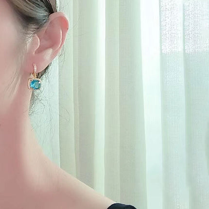 S925 Sterling Silver Inlaid Zircon Earrings