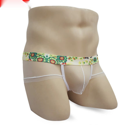 Men's Mesh Lightweight See-through Underwear Low Waist Transparent Sexy Briefs