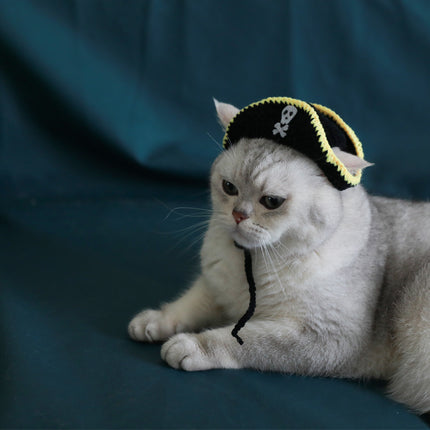 Pirate Hat Leaky Ear Small Handmade Pet Costume