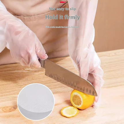 Dishwashing Waterproof Oil-proof Extended Disposable Gloves
