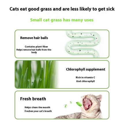 Lazy Cat Grass Canned Hydroponic Soilless Depilation Ball Digestive Snacks