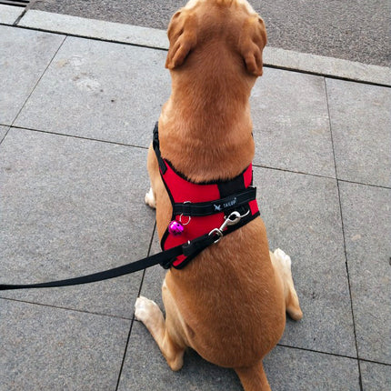Saddle Dog Breast Strap