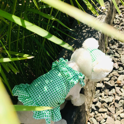 Creative Plaid Dog Dress Set