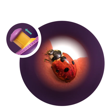 Scientific Outdoor Toys Plant Insect Biology Study Tool Set Cute Nature Observation Exploration Toy for Children