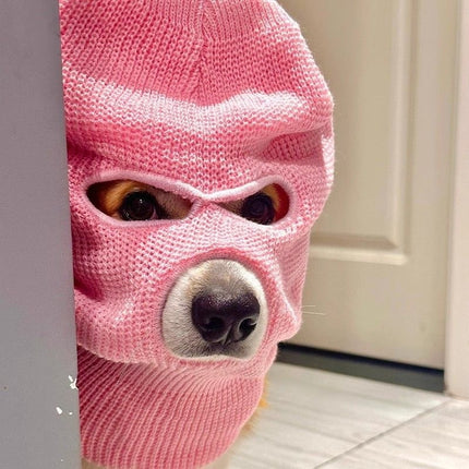 Corgi Puppy Headgear Hat Dog Creative Headdress