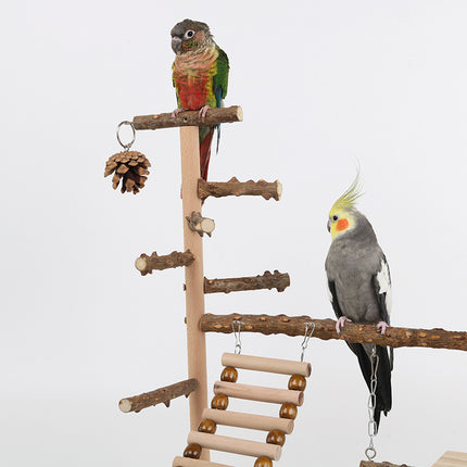 Sichuan Pepper Parrot Climbing Training Platform