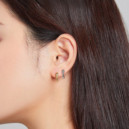 European Wind Animal Zodiac Earrings Silver