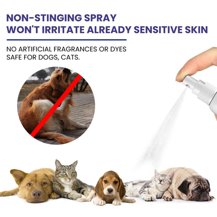 Pet Anti-itching Spray Cleansing And Soothing Skin