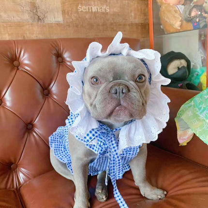 Creative Plaid Dog Dress Set