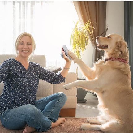 New Dog Nail File Pet Dog Grooming Tools Detachable Claw Grinder Nail Scraper Cat Dogs Board Nail Tools