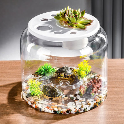 Transparent Plastic Ecological Desktop Landscaping Feeding Fish Tank