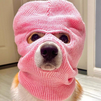 Corgi Puppy Headgear Hat Dog Creative Headdress