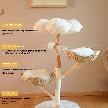 Natural Fruit Tree Cat Climbing Frame Solid Wood Rattan Cat Nest Cat Tree