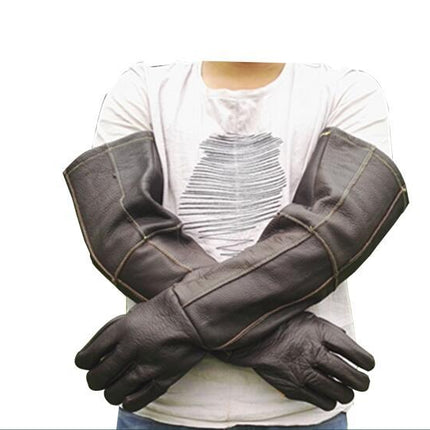 Simple Anti-bite And Scratch Pet Gloves