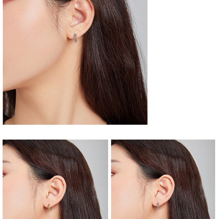 European Wind Animal Zodiac Earrings Silver