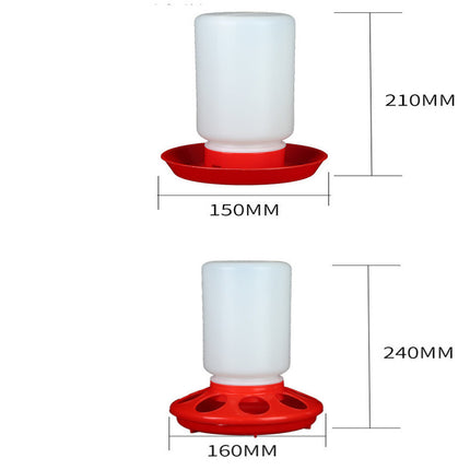 The Bird Feeds The Water Bottle To The Pigeon With A Waterer