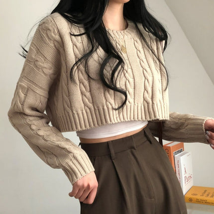 Small Cropped Long Sleeve Crew Neck Pullover Sweater