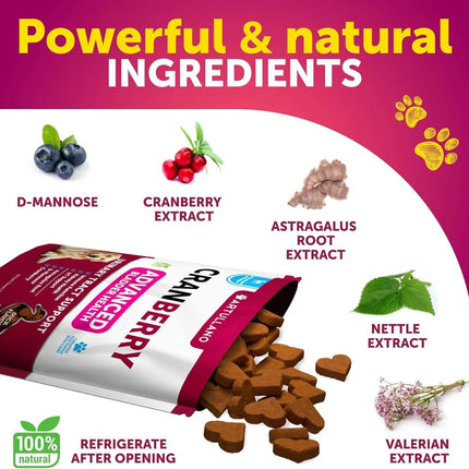 Do Not Sell On Amazon Dog UTI Treatment Cranberry Supplement Bladder Control Urinary Tract Infection Incontinence Pill Bladder Stones UTI Medicine Treats 70 Soft Chews For Kidney Support With Fish Oil