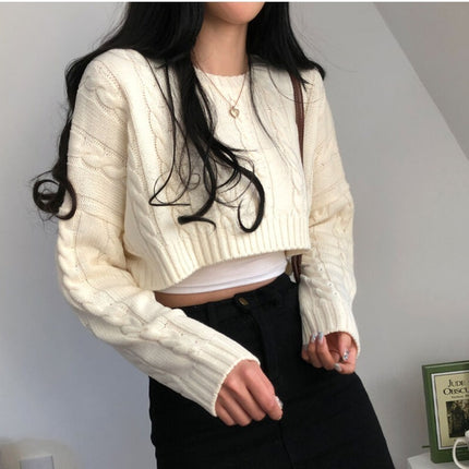Small Cropped Long Sleeve Crew Neck Pullover Sweater