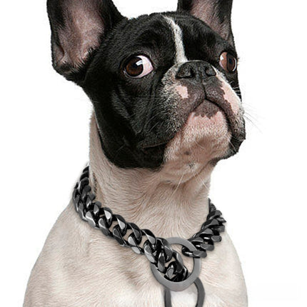 Titanium Steel Metal Hip Hop Pet 15mm Gold Stainless Steel Dog Leash