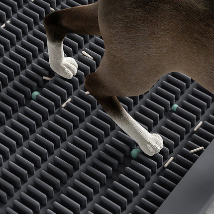 Cat Litter Pedal Litter Box Pad Mat Pet Supplies