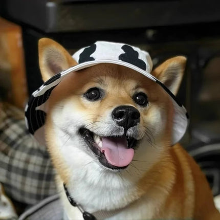 Cute Exposed Ears Pet Cat Dog Bucket Hat