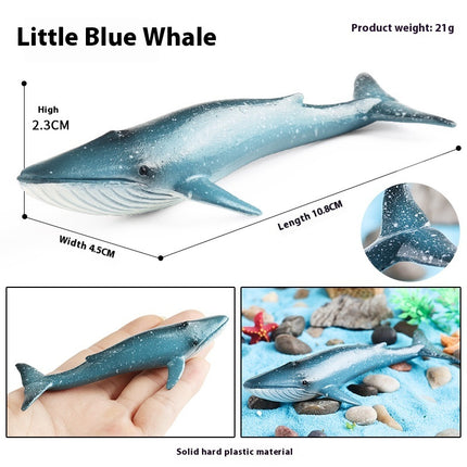 Simulation Marine Animal Model Children's Cognitive Toy