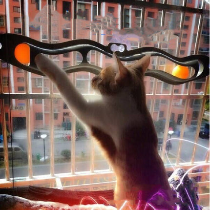 Windowsill Pets Toy Cat Track Ball Pet Products