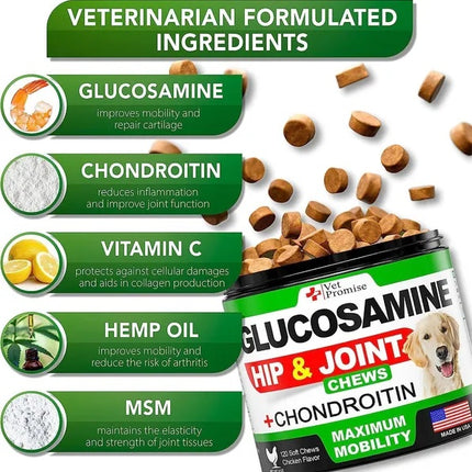 Glucosamine For Dogs 2 Pack Hip And Joint Supplement With Chondroitin 240 Chews