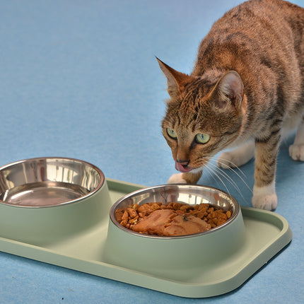 Non-slip Stainless Steel Feeder Cat Bowl