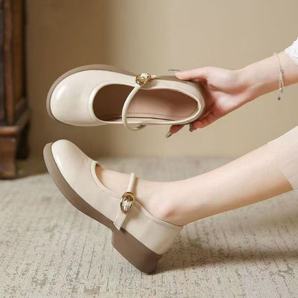 Flat Fairy Style One-suit Skirt Cheongsam Leather Shoes