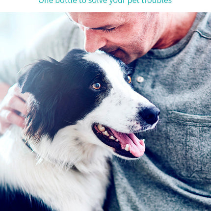 Pet Deodorant 100ml For Cat And Dog Urine Odor Pet Deodorant Spray