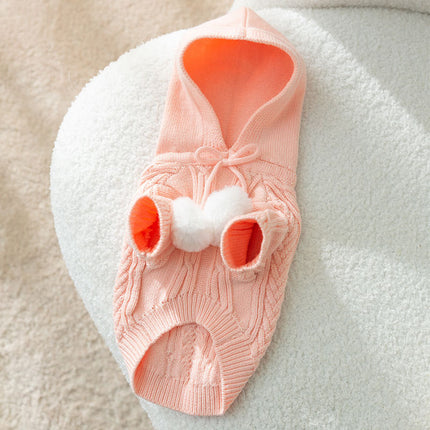 Cat Fur Ball Sweater Two Feet Warm Hooded Dogs Teddy Pet Clothes