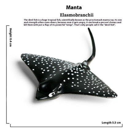 Simulation Marine Animal Model Children's Cognitive Toy