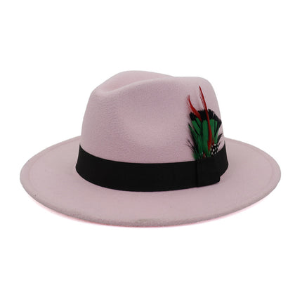 Men's And Women's New Woolen Broad-brimmed Hat Classic Top Fashion Feather Hat