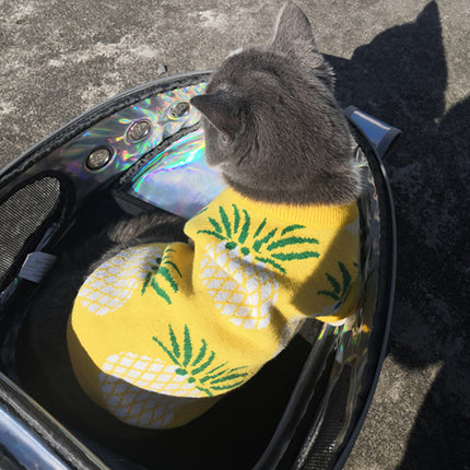 Cute Pineapple Print Jarre Aero Bull Autumn And Winter Christmas Pet Clothes