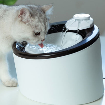 Automatic Drinking Machine For Cats And Dogs