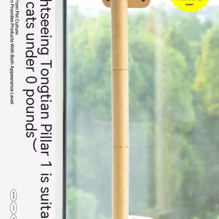 Cat Scratch Trees Non-covering Glass Wall Chamfer