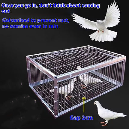 Outdoor Household Roof Only-in-no-out Pigoen Cage