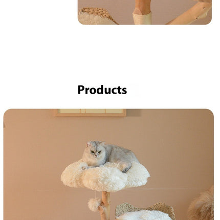 Natural Fruit Tree Cat Climbing Frame Solid Wood Rattan Cat Nest Cat Tree
